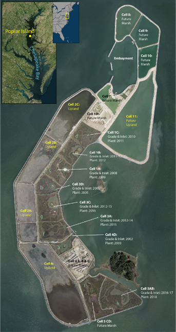 Aerial map view of Poplar Island in Chesapeake Bay sectioned and labeled as Cells.