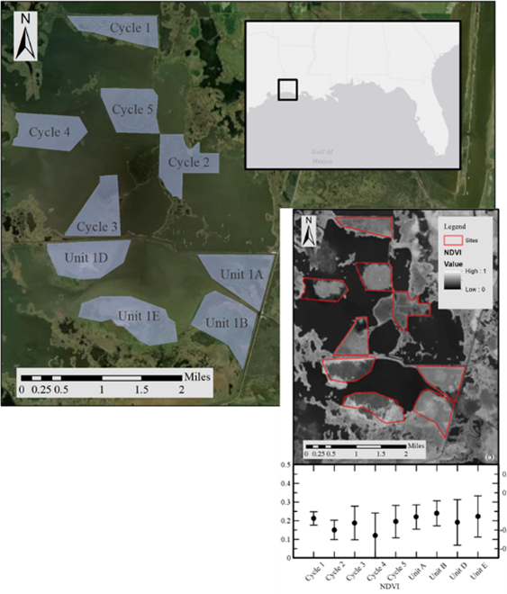 Aerial map view labeled cycles and units in southwestern Louisiana in color and in greyscale.