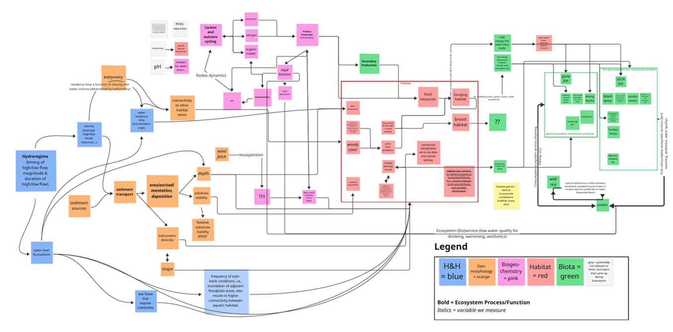 Large, detailed conceptual ecosystem diagram illustrating connections among hydrology, geomorphology, biogeochemistry, habitat, and biota. Colored boxes represent different categories: blue for hydrology and hydraulics, orange for geomorphology, pink for biogeochemistry, red for habitat, and green for biota. Numerous arrows link variables such as hydroregime, sediment transport, bathymetry, redox dynamics, algal blooms, woody cover, food resources, foraging habitat, brood habitat, fish, birds, turtles, wild rice, and human uses. A legend explains color coding, bold text for ecosystem processes, and italics for variables measured. The diagram shows how physical, chemical, and biological factors interact to influence habitat quality and ecosystem services.