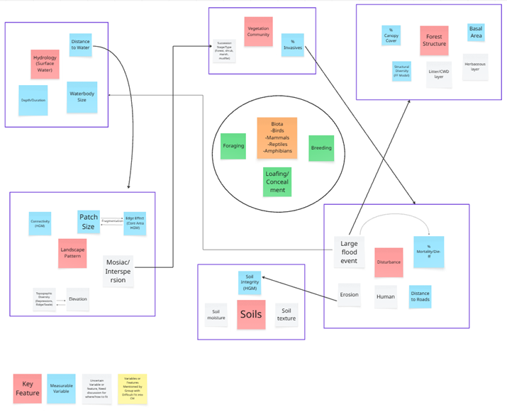 Simplified ecological conceptual model showing how landscape features, vegetation, soils, hydrology, disturbance, and habitat structure relate to wildlife use (foraging, loafing/concealment, breeding). Central circle contains biota groups—birds, mammals, reptiles, amphibians—and wildlife functions, surrounded by connected feature boxes. Sections include hydrology (distance to water, depth), forest structure (canopy cover, basal area), vegetation community (invasives, structure), soils (moisture, texture, integrity), disturbance (flood events, mortality/die-off), and landscape pattern (patch size, fragmentation, mosaic). Color coding identifies key features, measurable variables, and conceptual drivers.