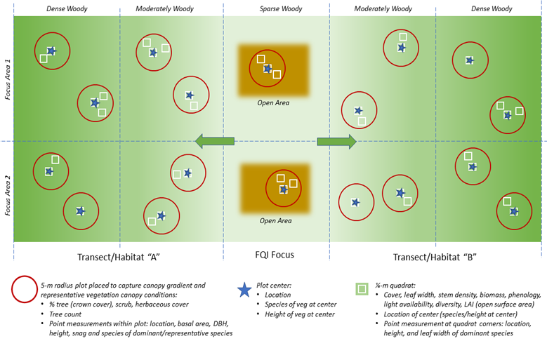 Diagram showing a vegetation sampling layout across habitat gradients from dense woody to open areas. Circles mark 5-meter vegetation plots, stars indicate plot centers, and squares represent 1-meter quadrats. Two transects (‘Habitat A’ and ‘Habitat B’) are shown, each spanning canopy density categories. Legends explain measured variables for plots and quadrats.