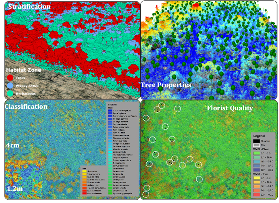 Composite figure of remote sensing vegetation analysis. Top-left panel shows habitat stratification with color-coded classes for trees, woody shrub, and herbaceous cover. Top-right panel displays tree properties with green spheres representing individual trees over a multicolored canopy height or productivity surface. Bottom-left shows detailed classification maps at 4 cm and 1.2 m resolutions with a species legend. Bottom-right shows a florist quality index map, with sample locations highlighted.
