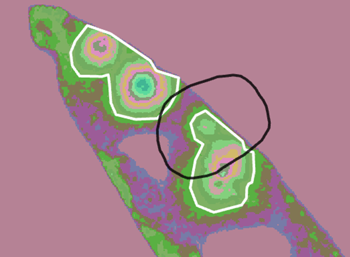 Color-coded map of an island-like landform with concentric elevation or suitability bands shown in greens, purples, and pinks. Two central mound features are outlined in white. A black hand-drawn circle highlights an area of interest on the right side of the map.