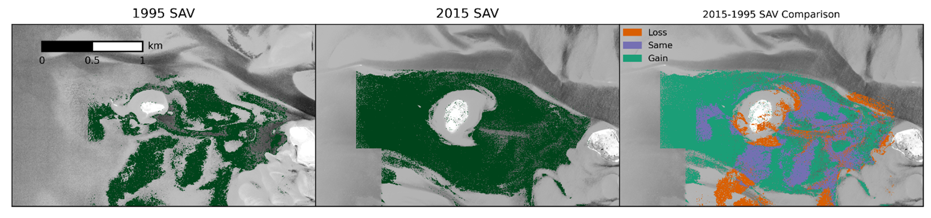 Three side-by-side maps showing submerged aquatic vegetation (SAV) distribution in 1995, in 2015, and a comparison between the two years. The 1995 and 2015 maps display SAV as dark green patches over grayscale aerial imagery. The comparison map uses orange (loss), purple (same), and green (gain) to show where SAV disappeared, persisted, or expanded between 1995 and 2015. A black-to-white scale bar indicating kilometers appears on the first map.