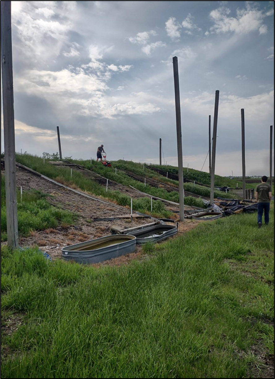 Experimental hillside with multiple long, parallel test plots divided by wooden borders. A person operates a piece of equipment near the upper plots, while another person walks nearby. Metal water troughs sit at the bottom of the plots. Tall vertical poles stand throughout the area.