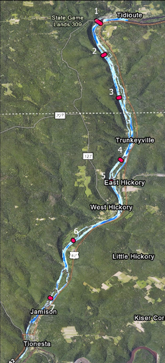 Vertical aerial map of a long river segment with labeled points numbered 1 through 7 along the channel. Nearby towns—Tidioute, Trunkeyville, East Hickory, West Hickory, Jamison, and Tionesta—are identified. The river course is highlighted in blue and white, with pink dots marking survey or sampling locations.