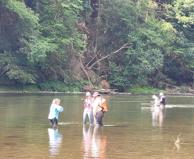 Five people standing knee-deep in a river conducting field measurements. Two individuals farther back use handheld instruments or nets. A forested riverbank is visible behind them.
