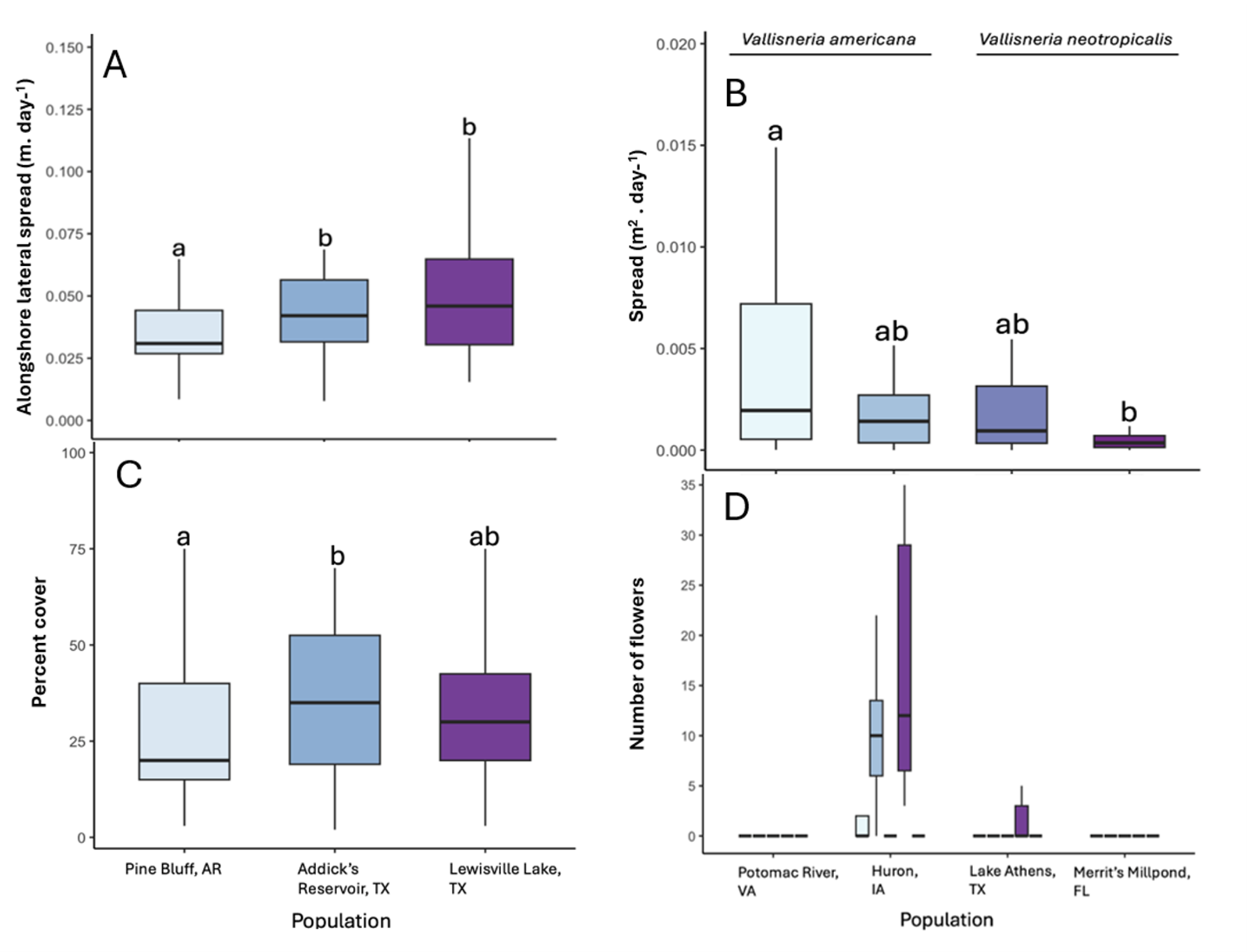 Four-panel figure showing boxplots comparing growth and reproductive traits across aquatic plant populations. Panel A: Alongshore lateral spread rates for three populations, with groups labeled a or b. Panel B: Spread area per day for Vallisneria americana and V. neotropicalis, with significant differences indicated by letter groups. Panel C: Percent cover for three populations, showing moderate variation. Panel D: Number of flowers produced across four populations, with one population showing much higher flowering than others.