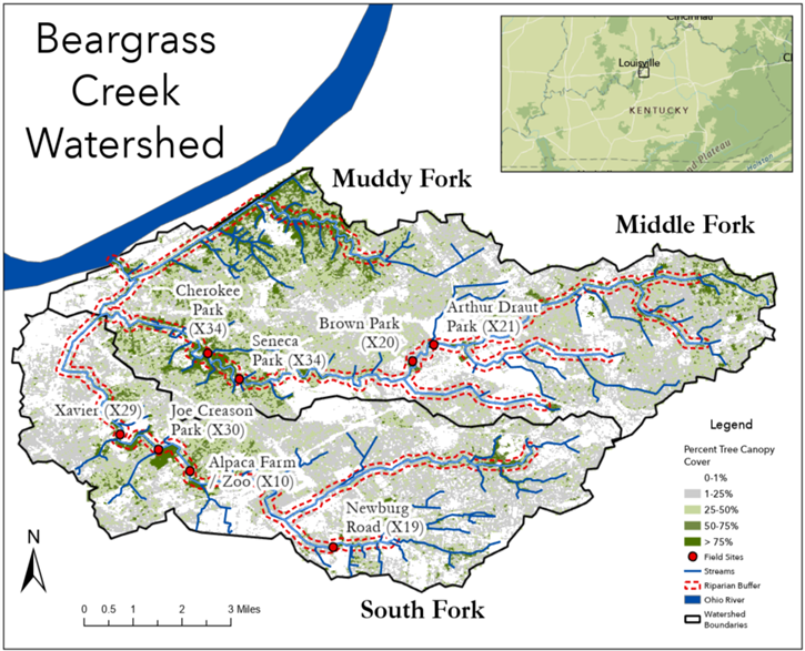 Map of the Beargrass Creek Watershed near Louisville, Kentucky. The watershed is divided into Muddy Fork, Middle Fork, and South Fork, with tree canopy cover displayed in four classes from 0–1% to >75%. Field sampling locations are marked with red dots. Streams and riparian buffers are shown, and an inset map provides regional location context.