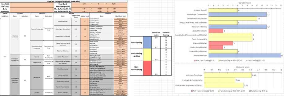 Spreadsheet and bar-chart summary of REFI results. The left side shows a scoring table with variables, index scores, and condition categories. The right side displays horizontal bar charts for each ecological function category, comparing variable scores and overall outcomes labeled as functioning, functioning at-risk, or non-functioning