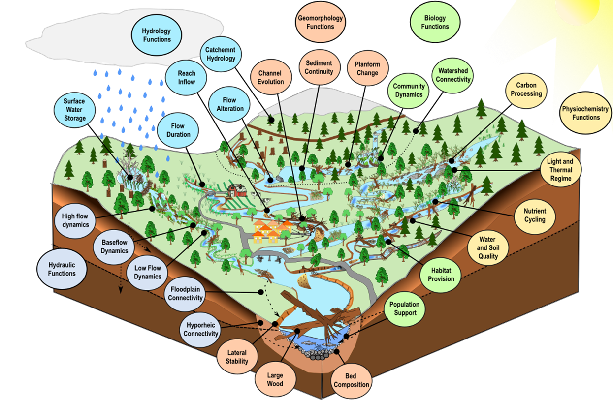 A detailed illustrated cross-section of a watershed showing streams, forests, farmland, wetlands, and hills. Numerous labeled ecological functions are mapped onto the landscape, including hydrology (flow duration, storage, alteration), geomorphology (sediment continuity, planform change), biology (community dynamics, watershed connectivity), carbon processing, physio-chemistry (nutrient cycling, thermal regime), hydraulic functions, hyporheic and floodplain connectivity, habitat provision, and population support. Arrows and labels connect each ecological function to the part of the landscape where it operates.