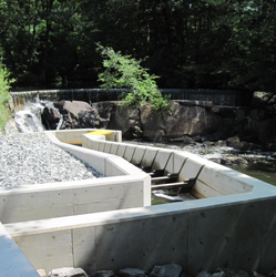 Image of Hunts Mill Ladder