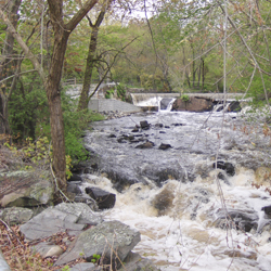 Image taken looking upstream at Hunts Mill