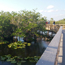 Caption – Boardwalk Anhinga Trail Everglades National Park  <br>
							      	PI/Photographer Name - TJ Estes<br>
							      	Project Title - Other <br>
							      	Country/Region/State/County/Town/GIS Coordinates - US, Southeast, FL, Homestead	 <br>
							      	Landform/Landscape Setting – Wetland, Aquatic	 <br>
							      	Primary Subject Category - Flora <br>
							      	Secondary Subject Category - Sawgrass Marsh	<br>
							      	Other Information – April 2017 Environmental Research Area Review Group (ERARG) Meeting Field Trip
							      	